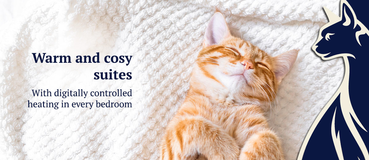 Warm and cosy suites