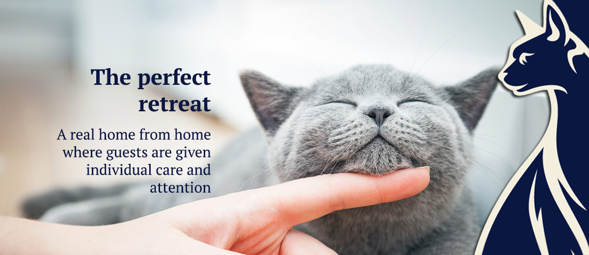 The perfect retreat