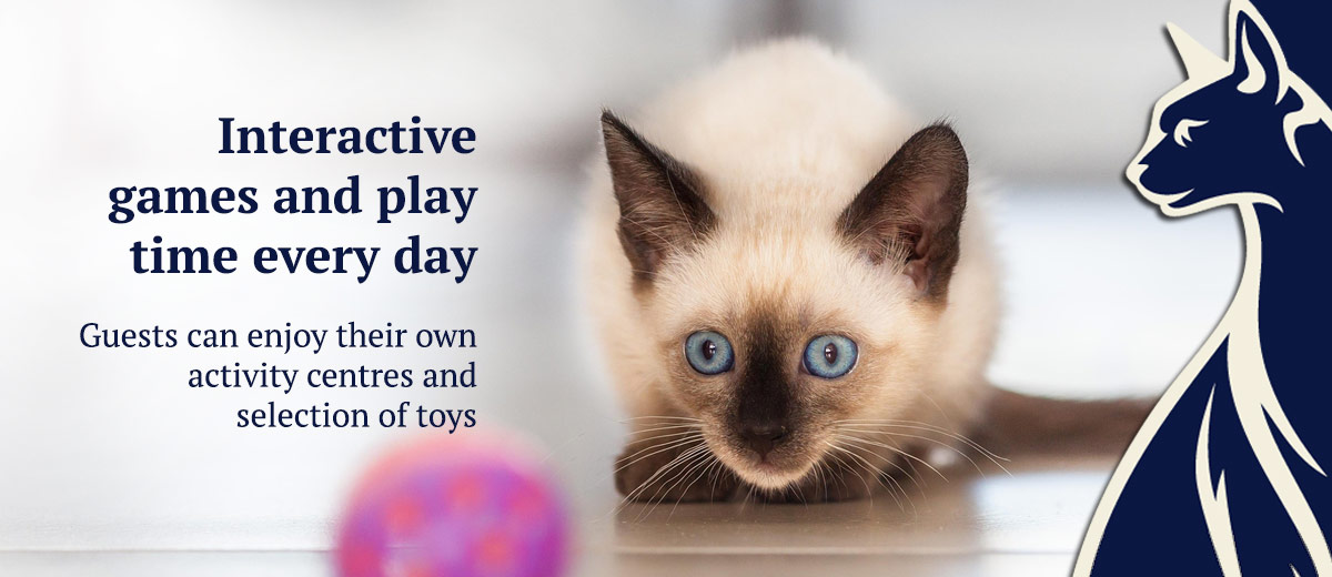 Interactive games and play time every day - 