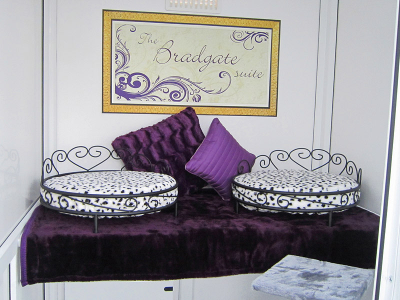 Cattery in Leicester